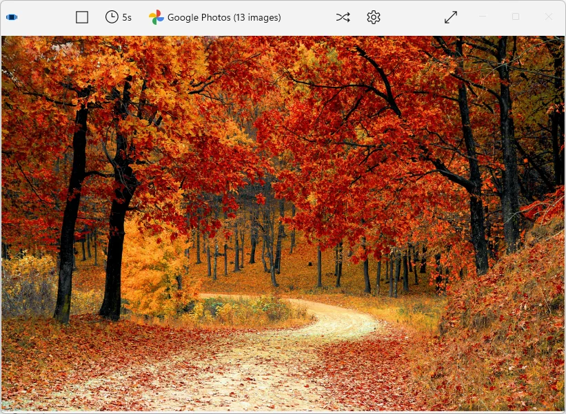 Tiny Slideshow showing a Google Photos selection of 13 images, with a photo of an autumn forest path.